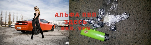 стаф Арсеньев