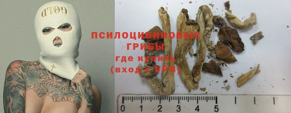 стаф Арсеньев