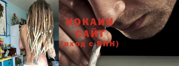 стаф Арсеньев