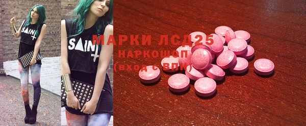 стаф Арсеньев