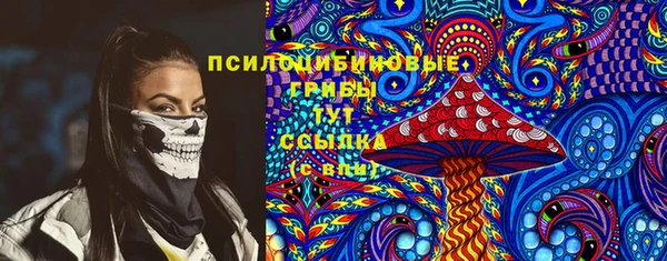 стаф Арсеньев