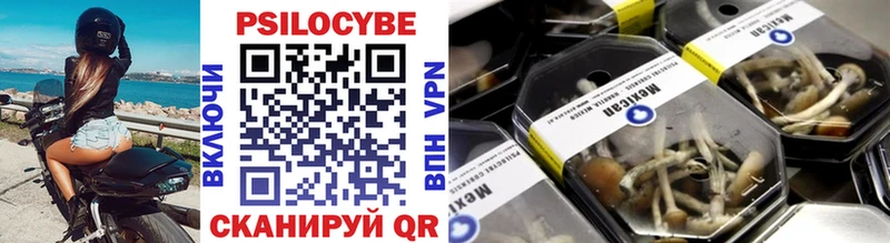 как найти закладки  Сунжа  Галлюциногенные грибы мухоморы 